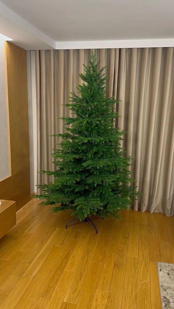 Smrek Kaukazský 3D- 250cm