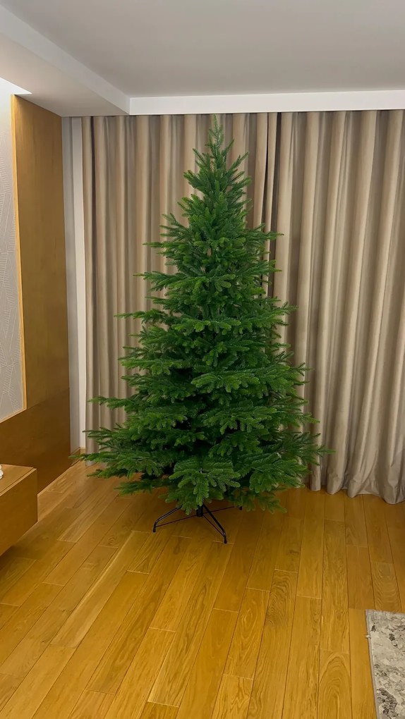 Smrek Kaukazský 3D- 280cm