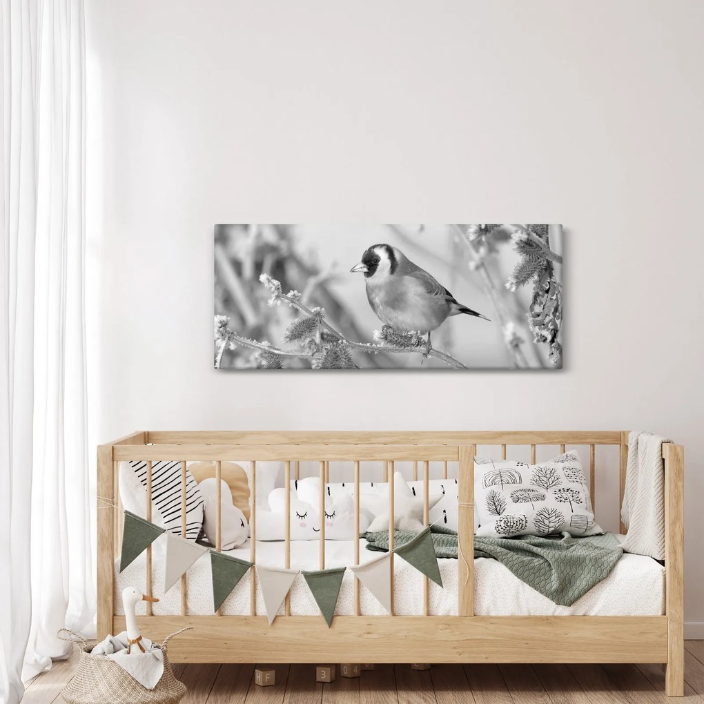Obraz - Vtáčik v zime (120x50 cm)
