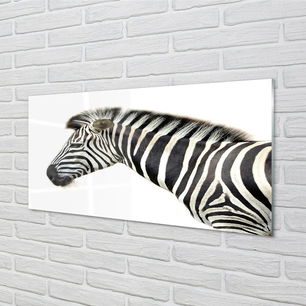 Sklenený obraz zebra 100x50 cm 2 Prívesky