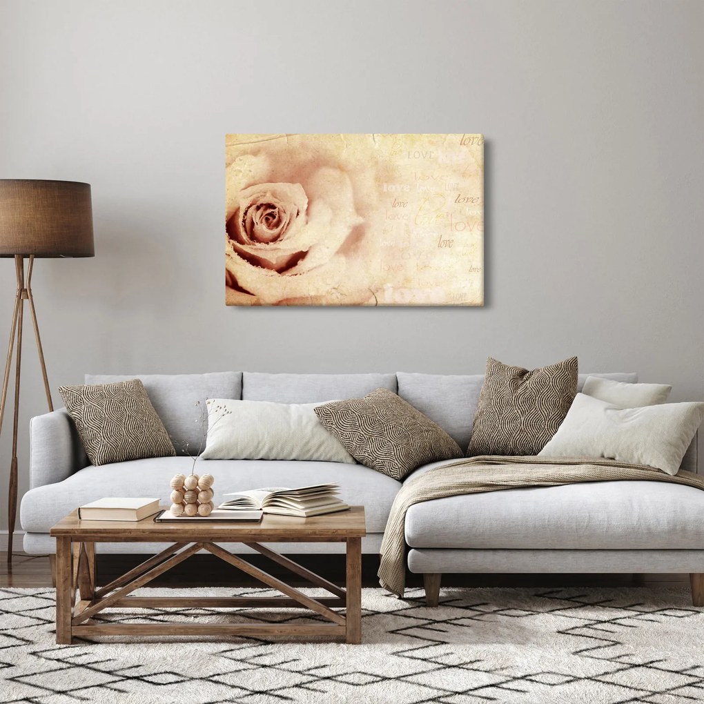 Obraz - Kvet ruže pre zaľúbených (90x60 cm)