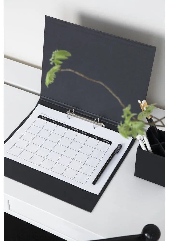 Kartónový organizér na dokumenty Ringo – Bigso Box of Sweden