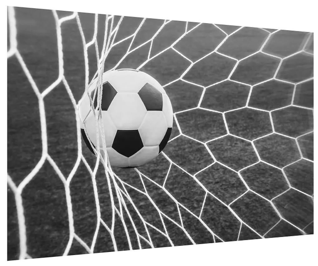 Futbalová lopta v sieti (90x60 cm)