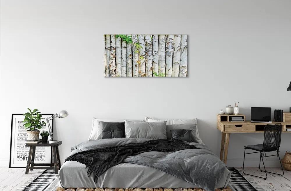 Sklenený obraz brezové lístie 125x50 cm