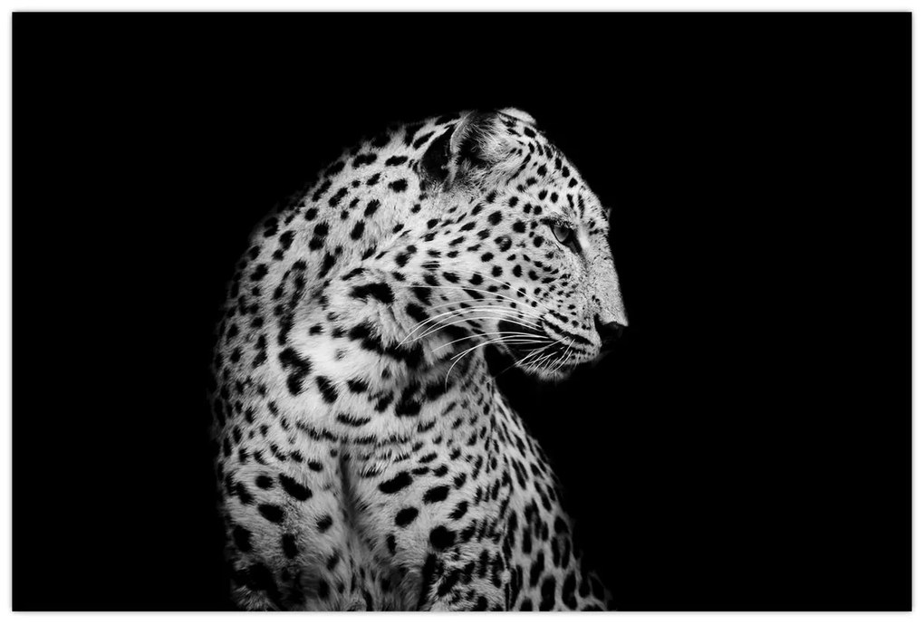 Obraz - Leopard (90x60 cm)