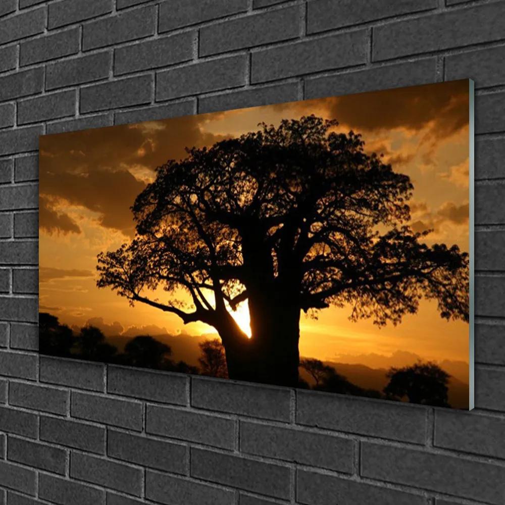 Obraz na skle Strom príroda 100x50 cm