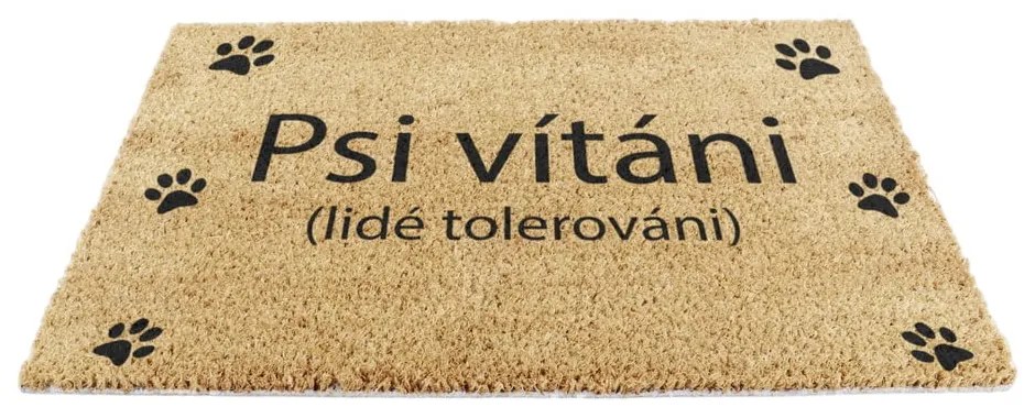 Rohožka z kokosového vlákna 40x60 cm Psi vítáni – Artsy Doormats