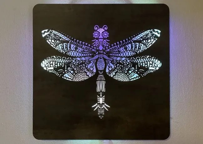 Led obraz Vážka RGB na batériu