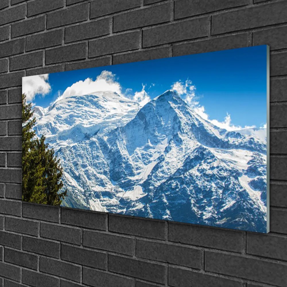Obraz na skle Hora strom príroda 100x50 cm