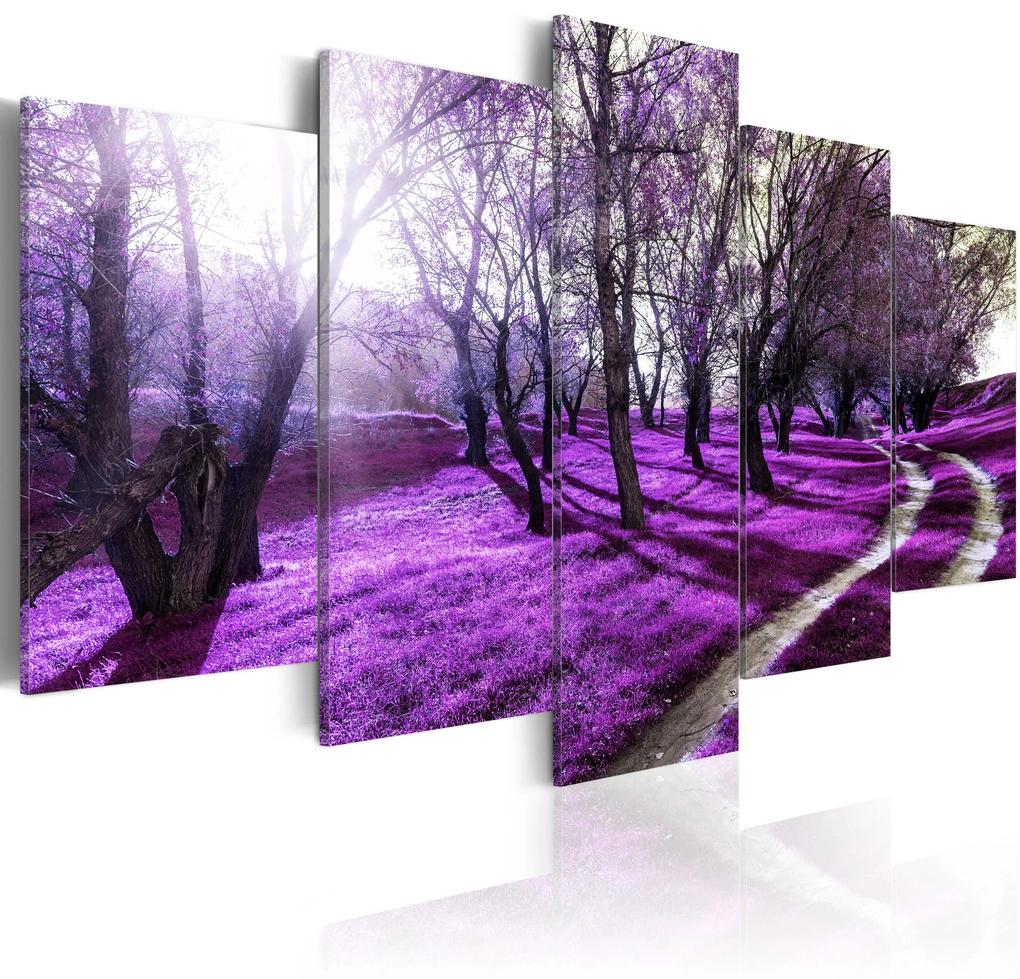 Artgeist Obraz - Lavender orchard Veľkosť: 100x50, Verzia: Standard