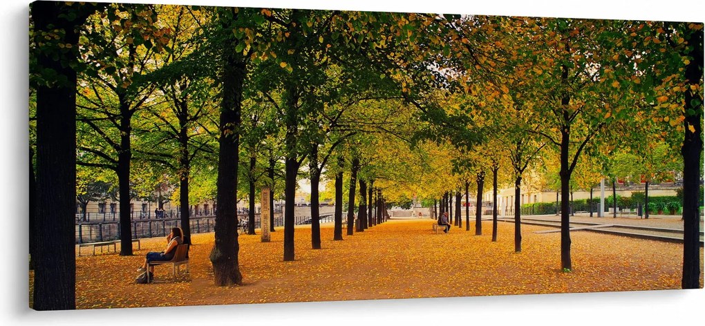 Obraz aleje jesenných stromov (120x50 cm)