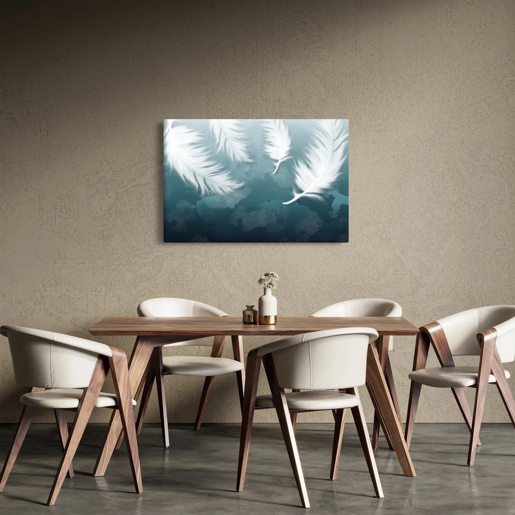 Obraz - Biela pierka (90x60 cm)
