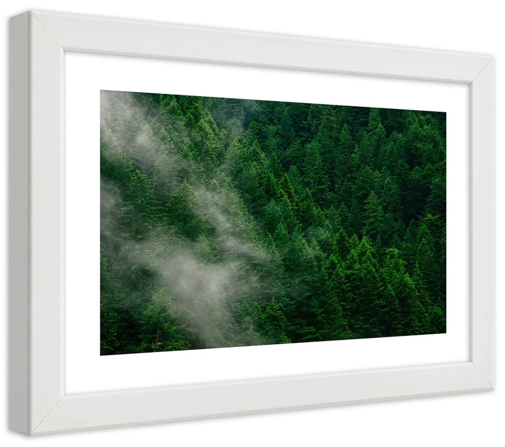 Gario Plagát Hmla nad lesom Farba rámu: Čierna, Rozmery: 60 x 40 cm