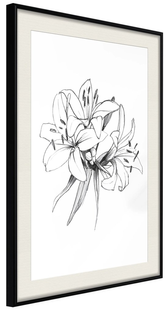 Artgeist Plagát - Drawn Flowers [Poster] Veľkosť: 20x30, Verzia: Zlatý rám s passe-partout
