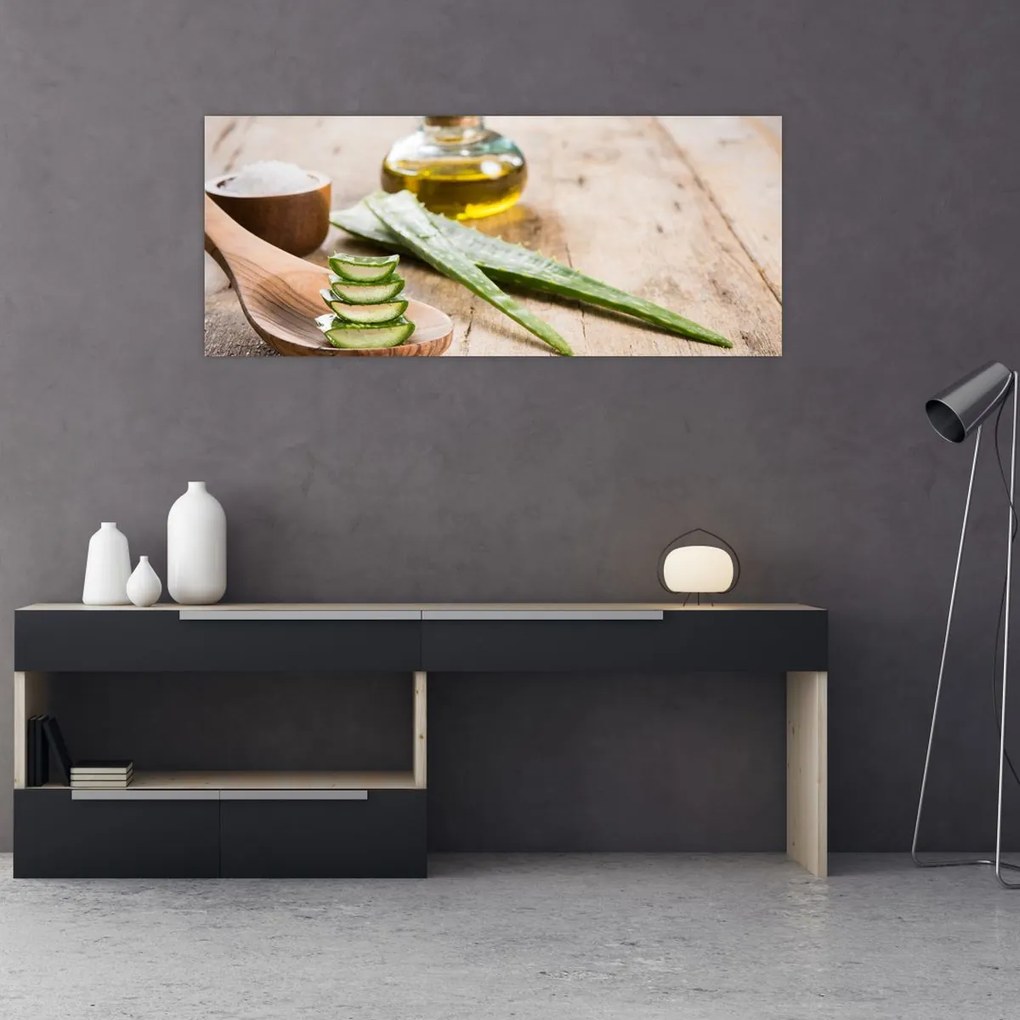 Obraz - Aloe vera (120x50 cm)