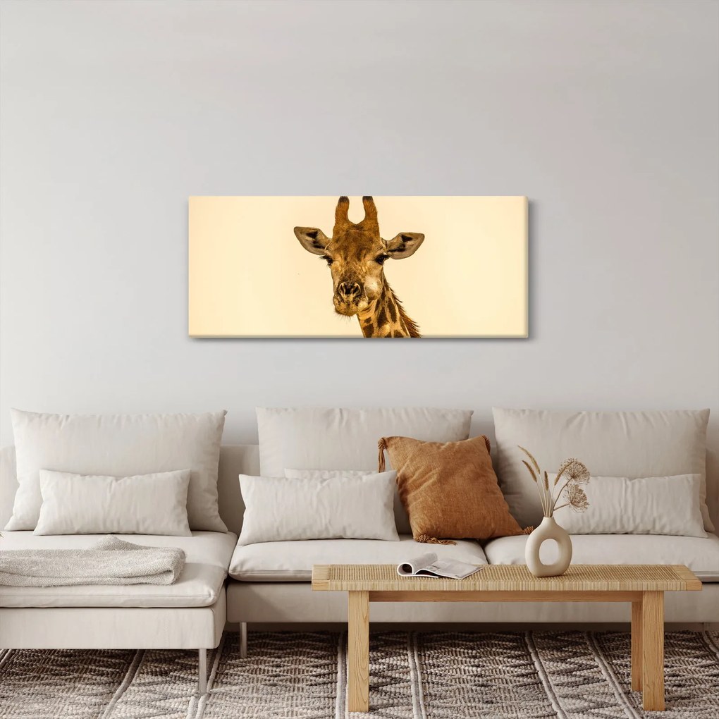 Obraz žirafy (120x50 cm)