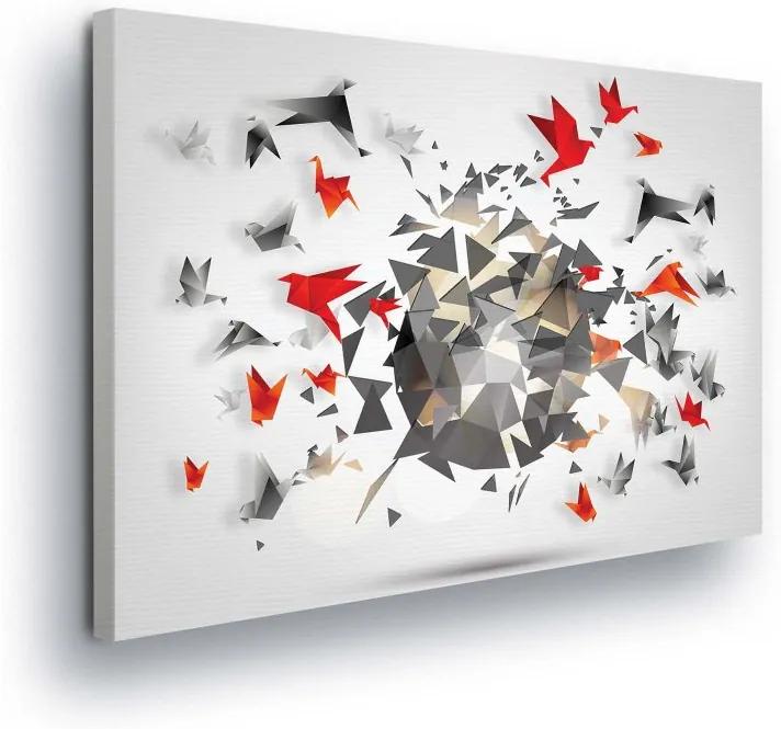 GLIX Obraz na plátne - Triangular Vír on White Background 100x75 cm