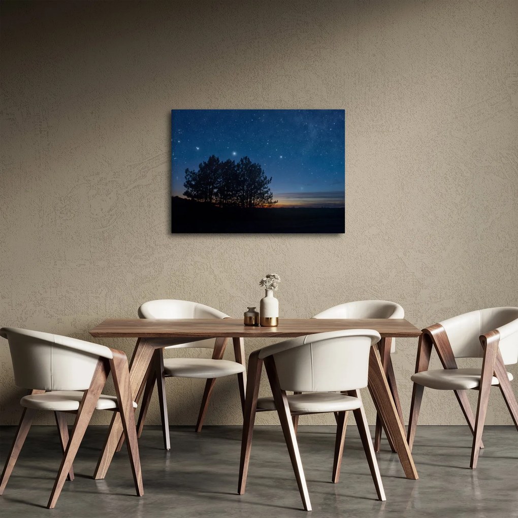 Obraz stromov v noci (70x50 cm)