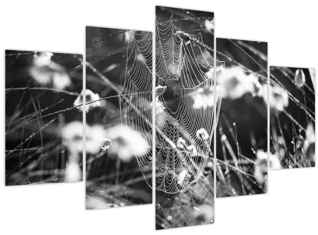 Obraz - Pavučina na lúke (150x105 cm)