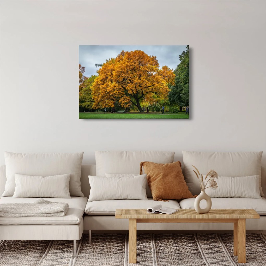 Obraz stromu (90x60 cm)