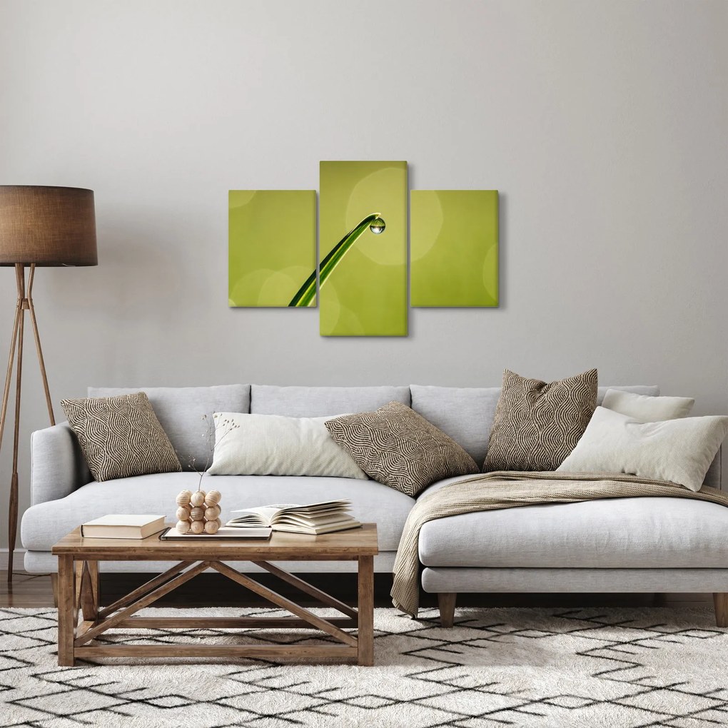 Obraz kvapky vody na tráve (90x60 cm)