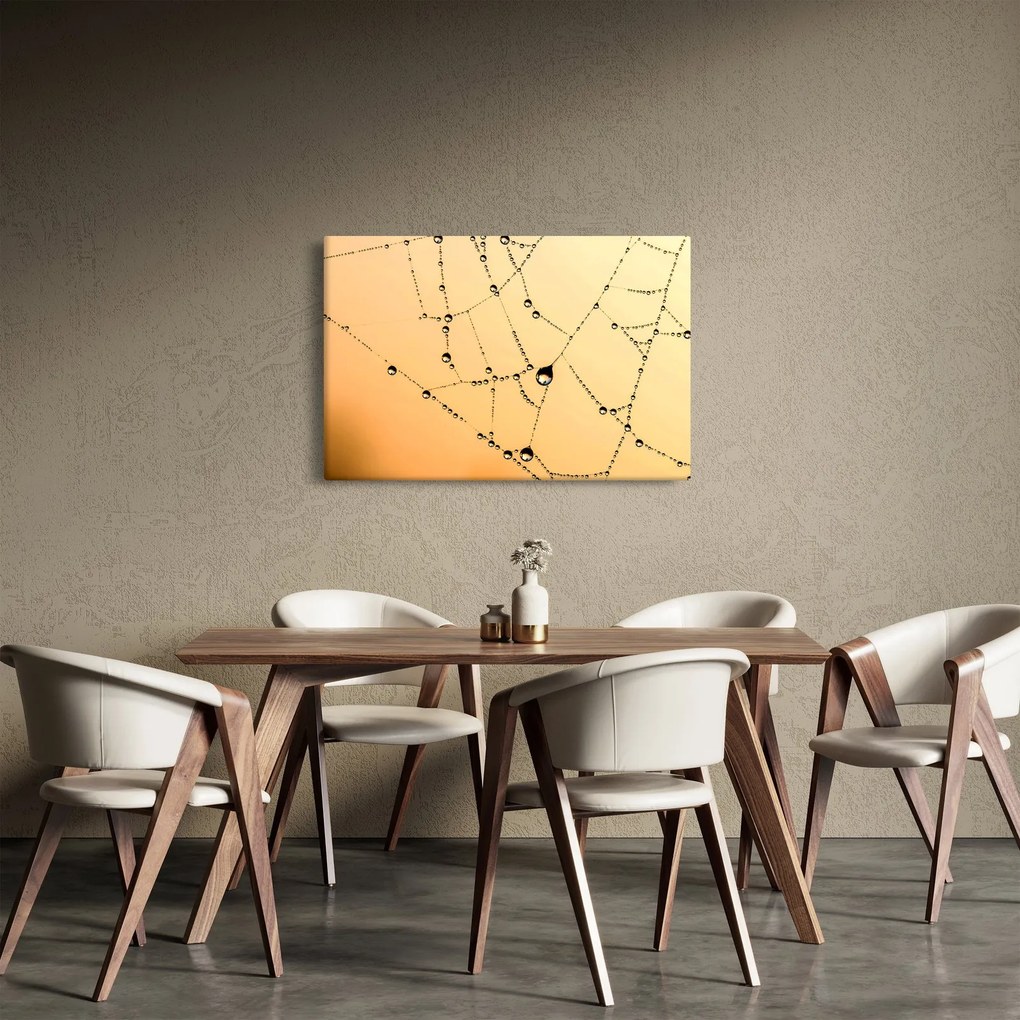 Obraz orosenej pavučiny (90x60 cm)