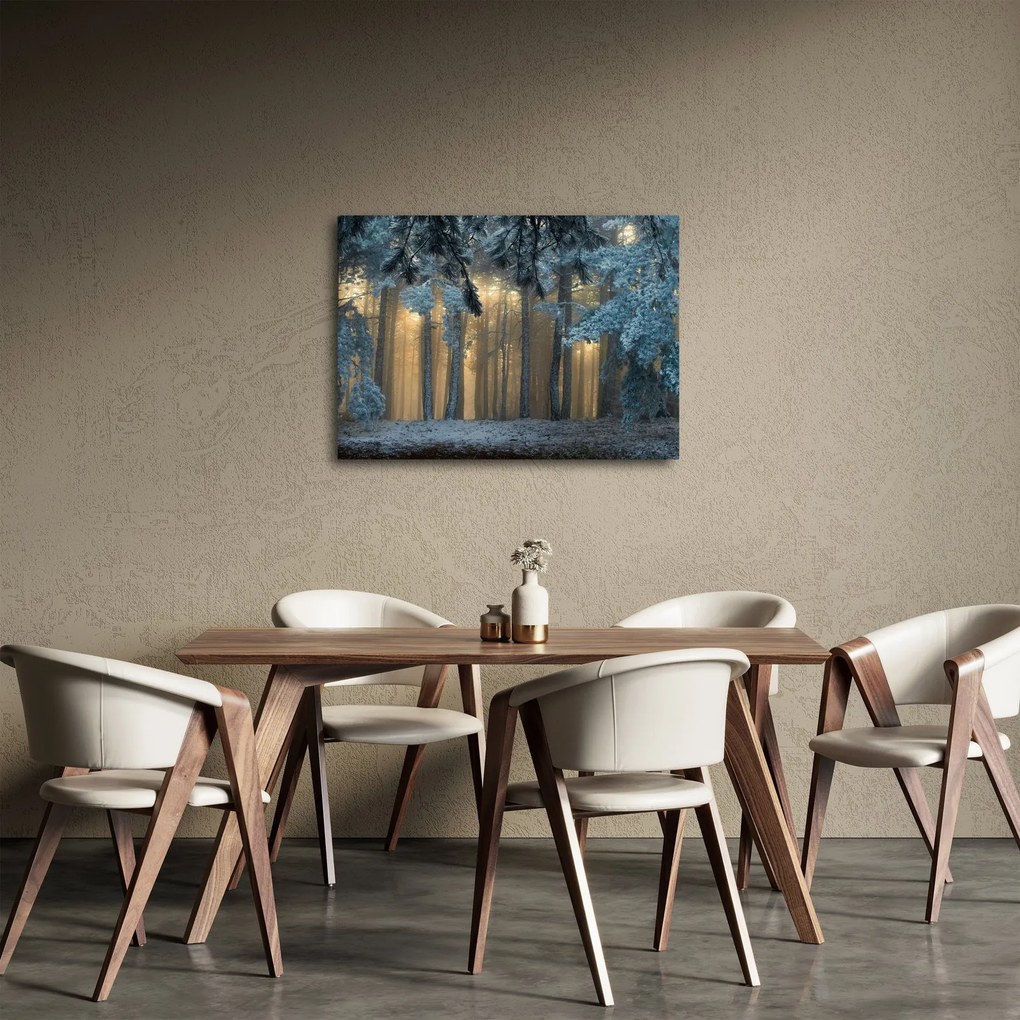 Obraz zasneženého lesa (70x50 cm)