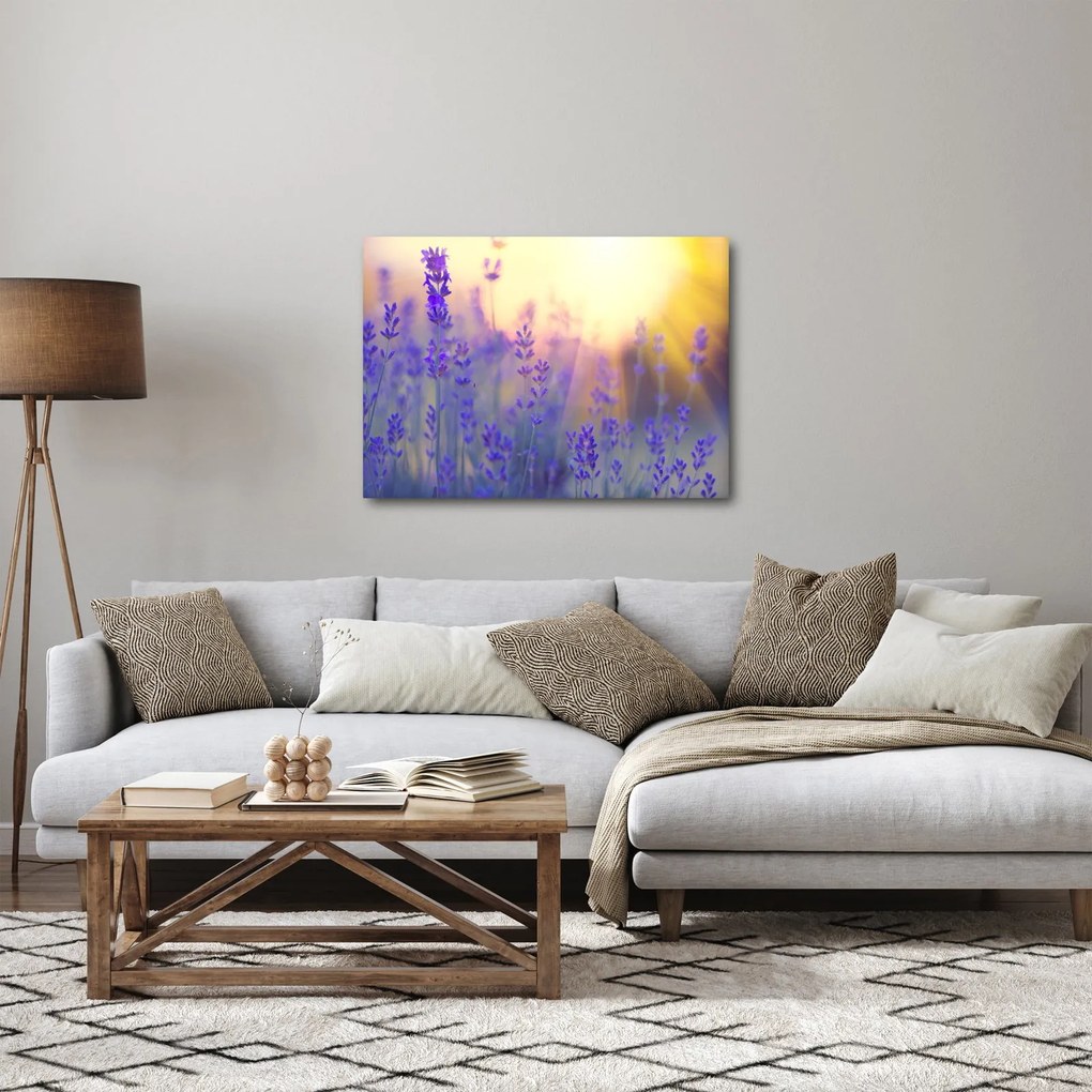 Obraz - Levanduľa (70x50 cm)