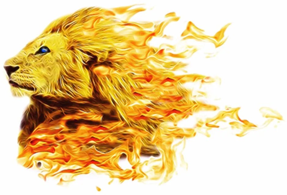Samolepiaca tapeta ohnivý lev