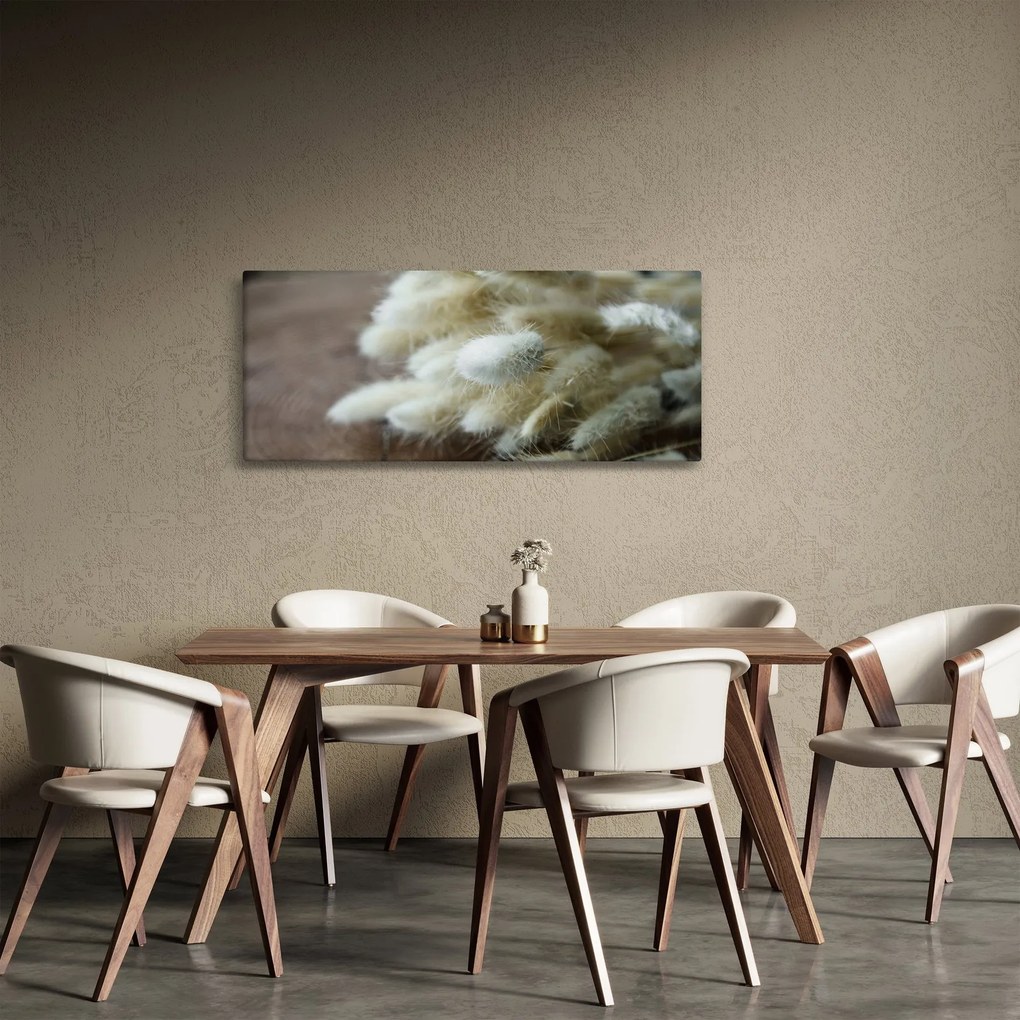Obraz - Zajačí chvostík (120x50 cm)