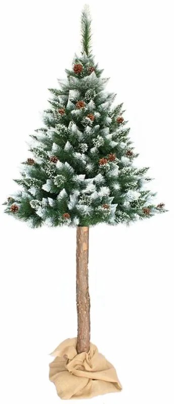 DomTextilu Úchvatná jemne zasnežená borovica na pni 220 cm Zelená TOY220-220