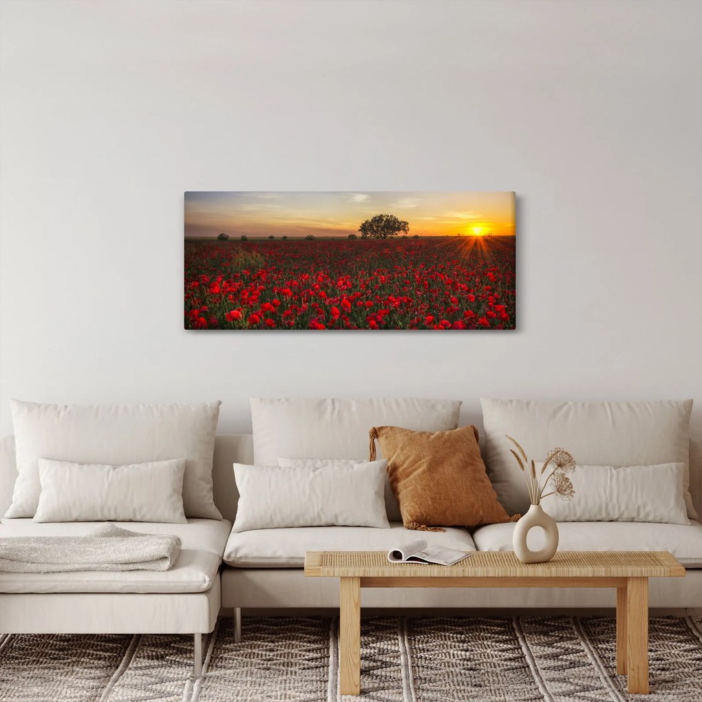 Obraz lúky s vlčími makmi (120x50 cm)
