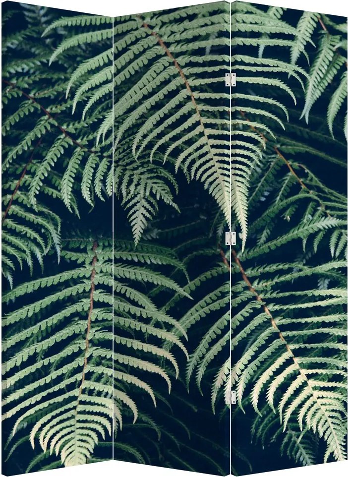 Paraván - Listy papradí (126x170 cm)