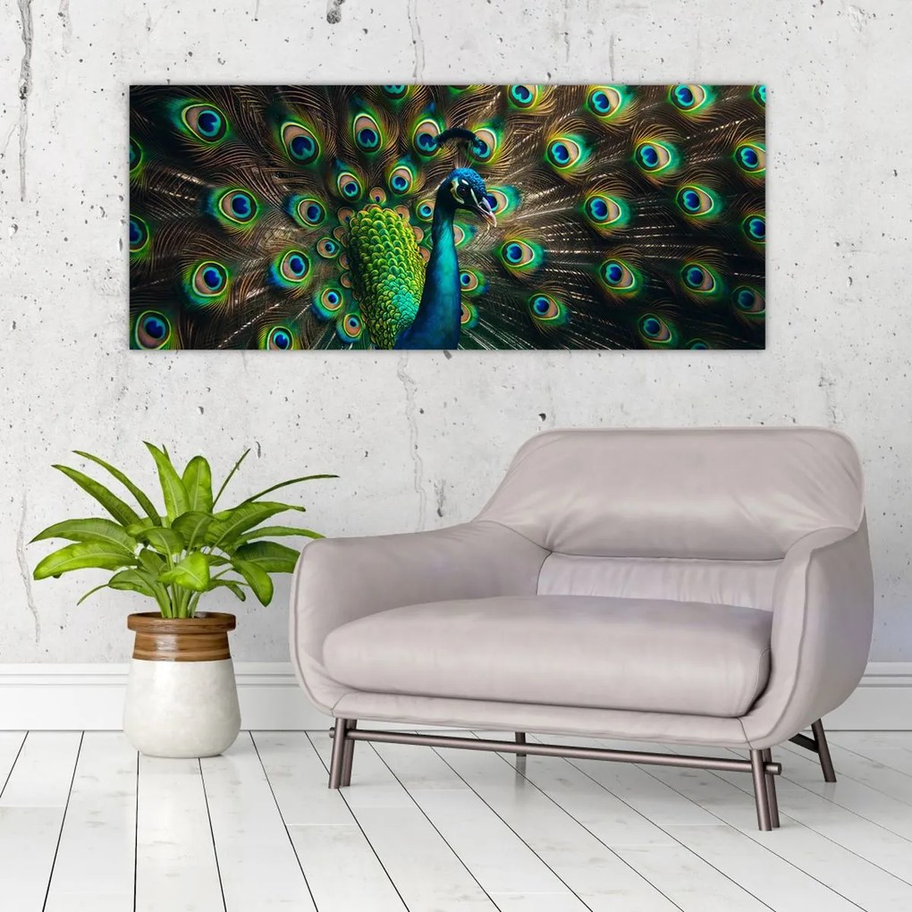 Obraz – Páv (120x50 cm)
