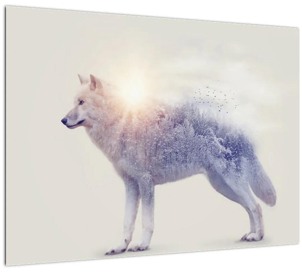 Sklenený obraz - Arktický vlk zrkadliaci divokú krajinu (70x50 cm)