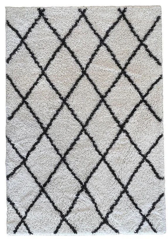 Koberec Shaggy Blizz 1,6/2,3 79803