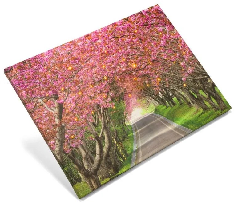 Nástenná maľba rozkvitnutá alej stromov, 40 LED, 30 x 40 cm