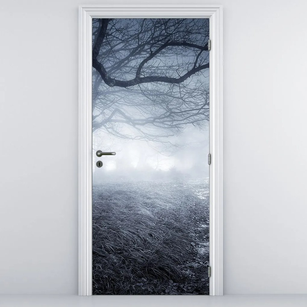 Fototapeta na dvere - Cesta v hmle (95x205cm)