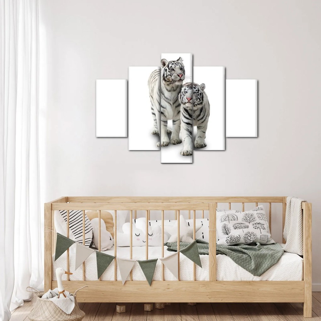 Obraz - Biely tiger (150x105 cm)