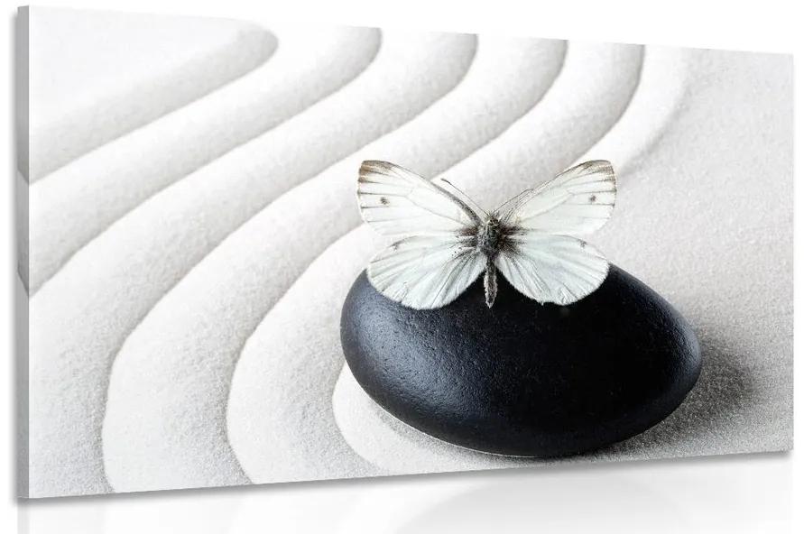 Obraz biely motýľ na čiernom kameni Varianta: 120x80