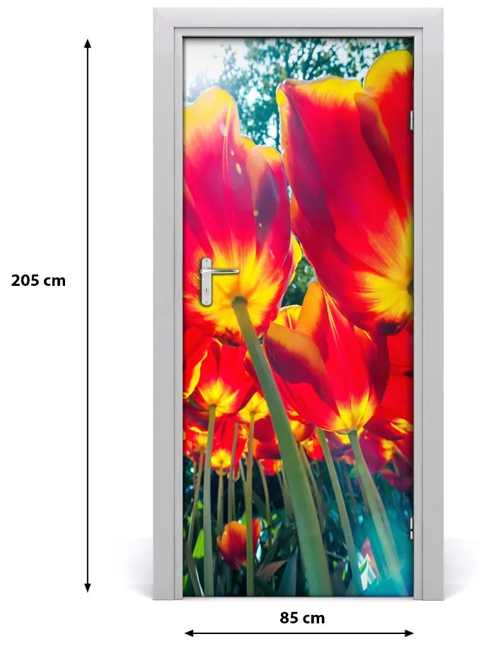 Fototapeta na dvere tulipány 85x205 cm