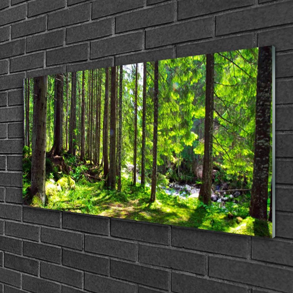 Skleneny obraz Les stromy rastlina príroda 140x70 cm