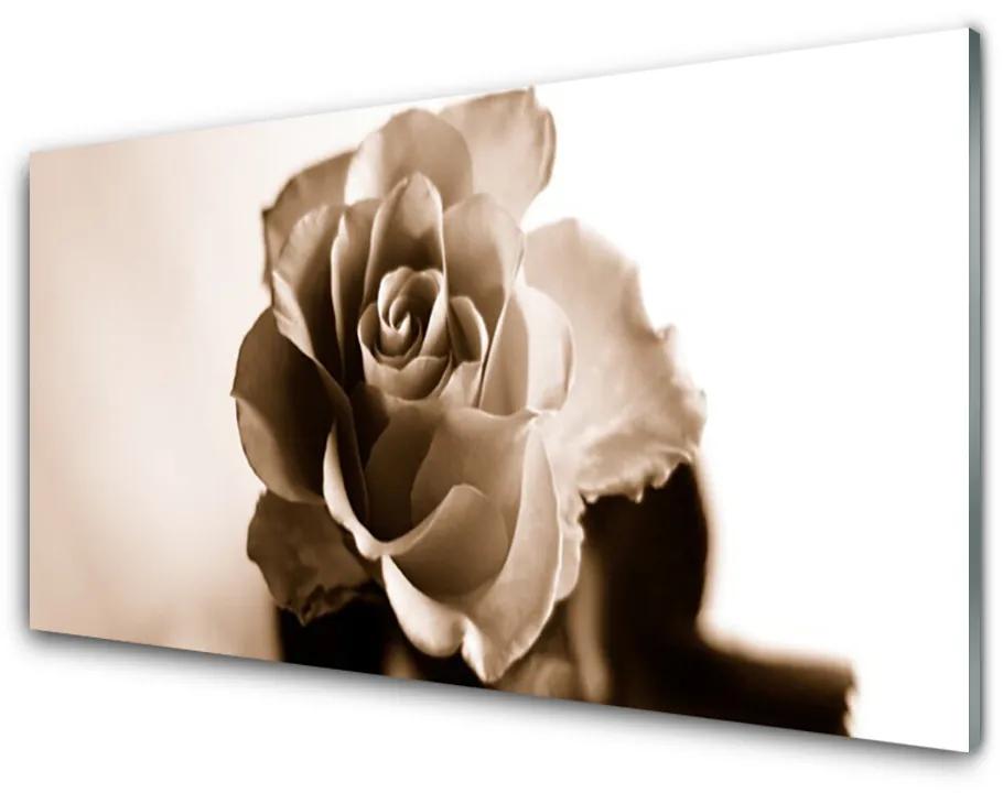 Nástenný panel  Ruže kvet 100x50cm