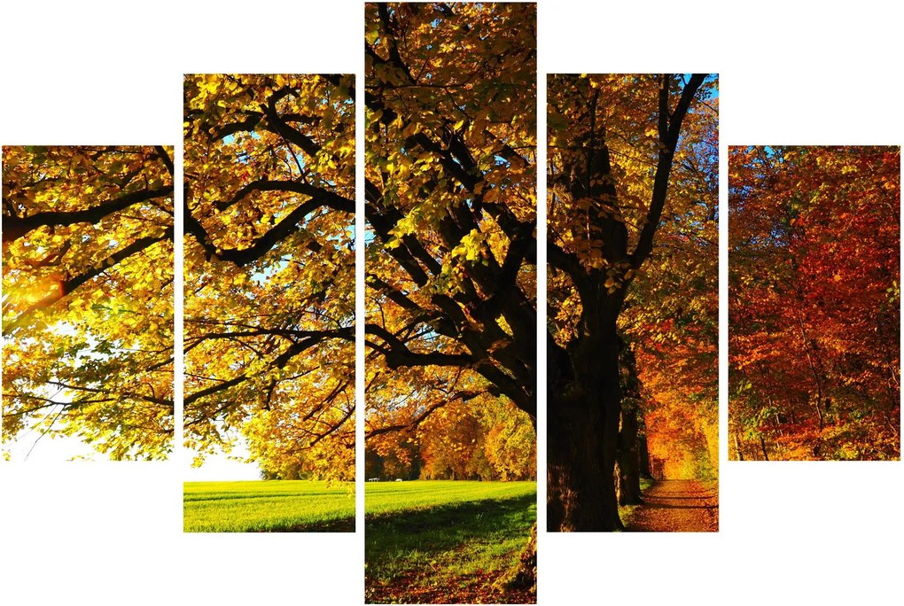 Obraz jesene (150x105 cm)