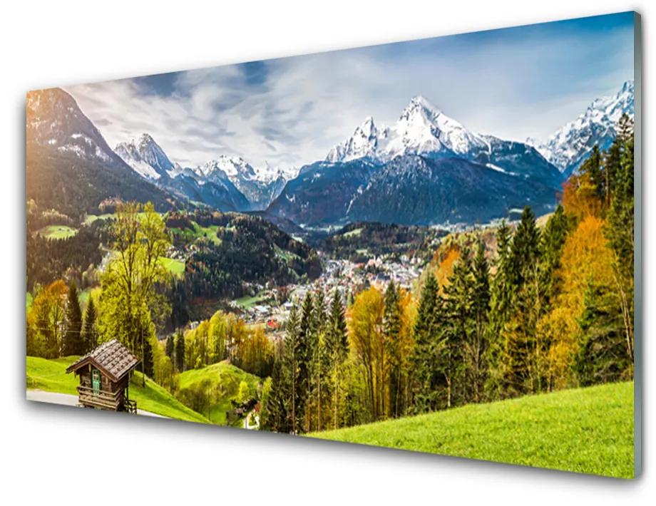 Obraz na skle Alpy príroda 120x60 cm