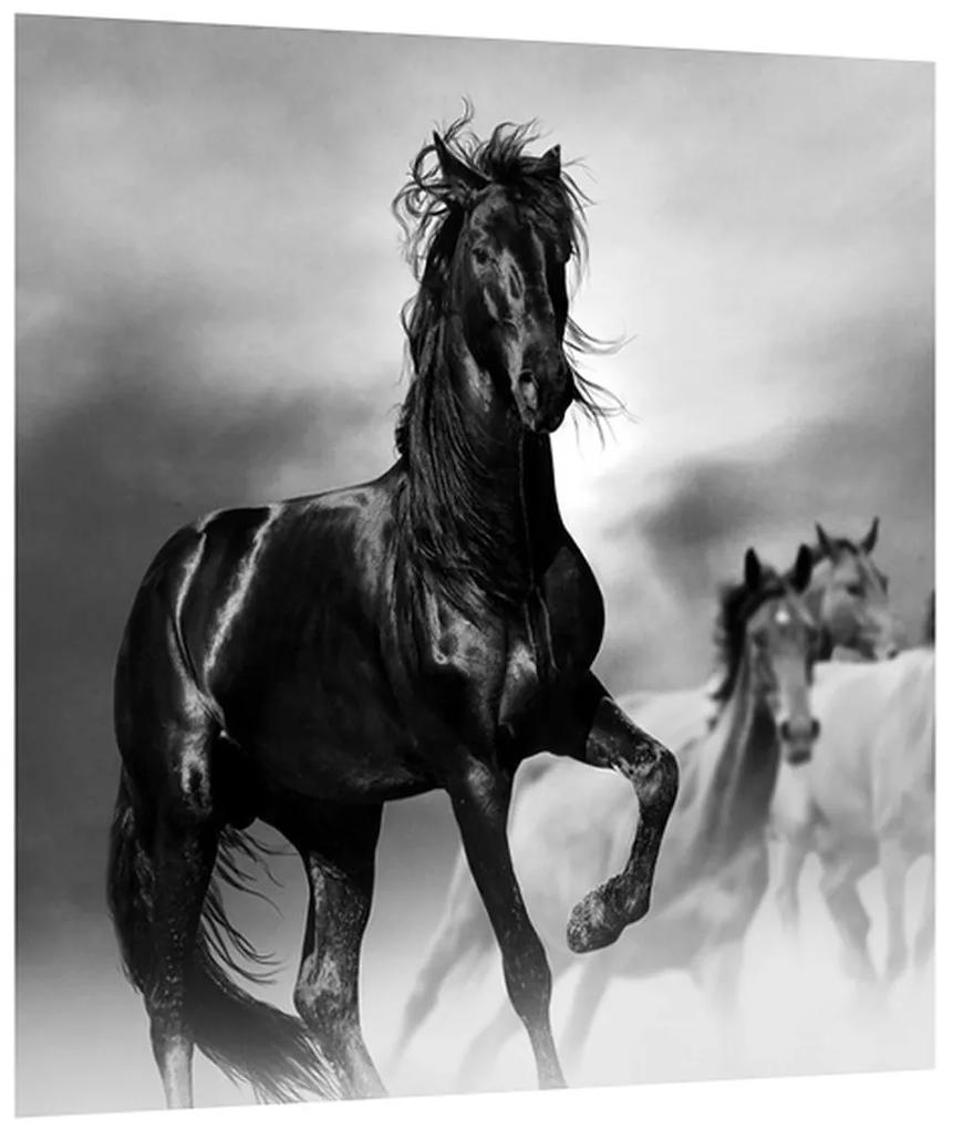 Obraz koňa (30x30 cm)