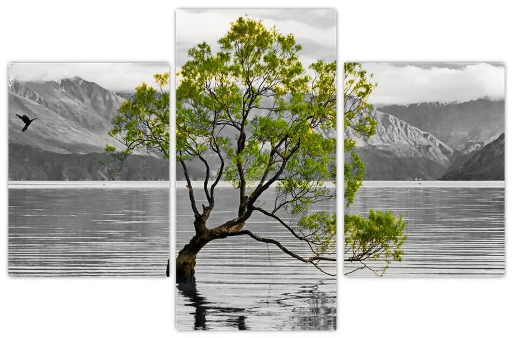 Obraz stromu uprostred jazera (90x60 cm)