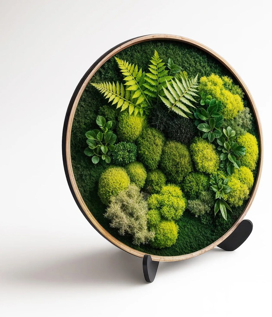 DUBLEZ | Drevený obraz s 3D efektom machu - Papradie