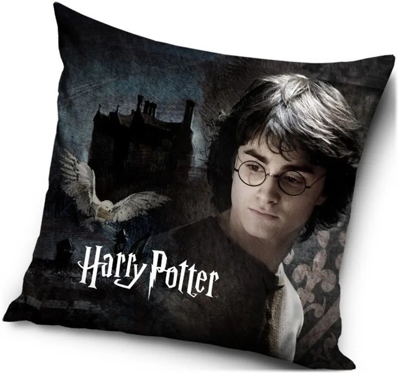 Vankúš Harry Potter - 40 x 40 cm