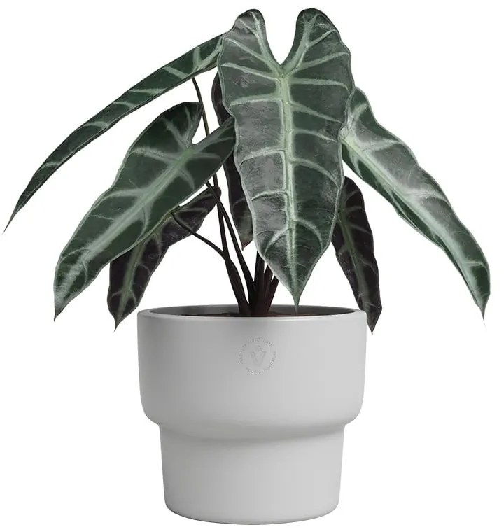 Keramický ručne vyrobený kvetináč ø 17 cm Echo – Artevasi